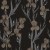 d8c54d6931a9dc2d08a5e4b19f8e04f9