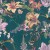 5be4d648b5c4bc0ec960e8c6c7aa0a32