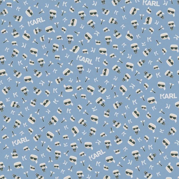 c21f2d291d904b5766d35f81908a1bc3