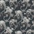 6672719747705e0a966c705be709a211