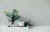 a288deeae26f307560e8ce83cf0daa57