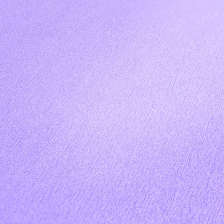 600ca44d06223f7da6e013a16a95a3bd