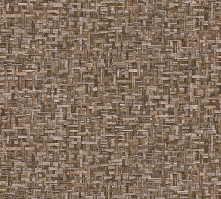 AS377061.jpg