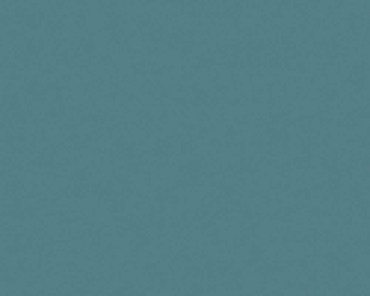 376806.jpg