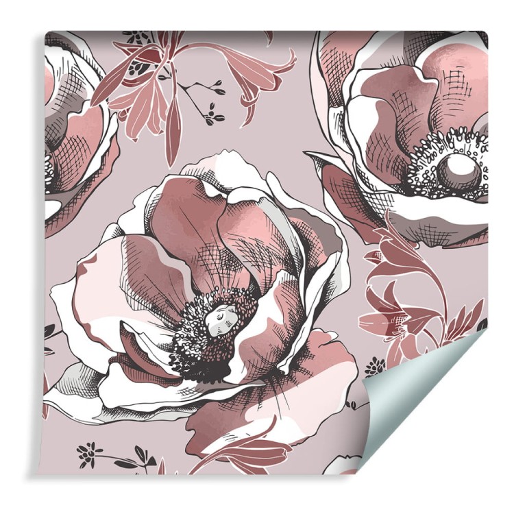 Tapeta Piękne Zawilce