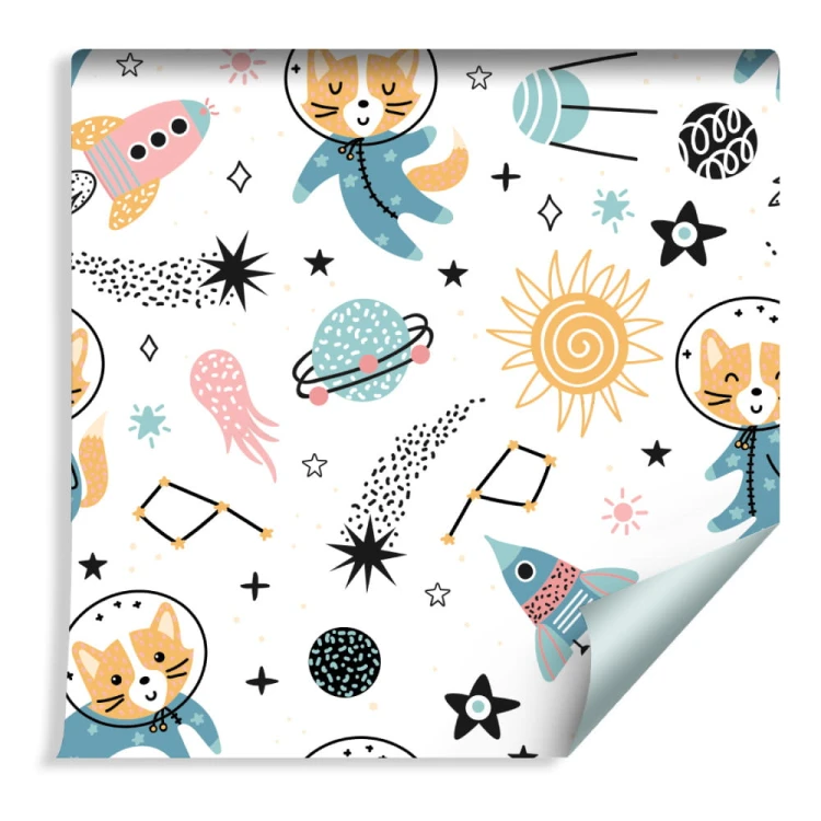 Tapeta Dla Dzieci - Wesołe Liski W Kosmosie