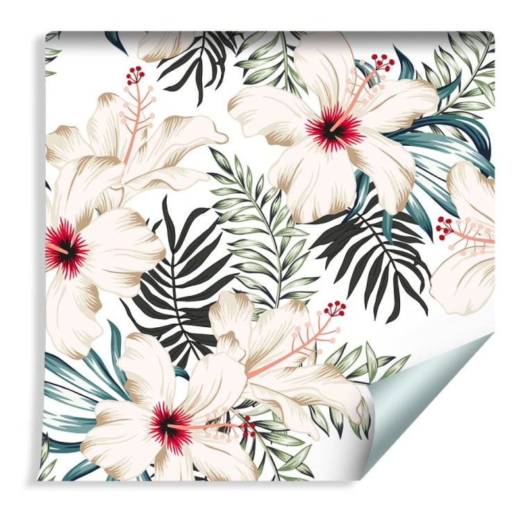 Tapeta Kwiaty Hibiskusa