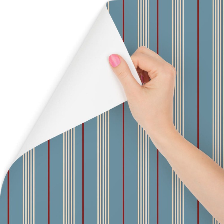 Tapeta W Klasyczne Pionowe Pasy, Do Biura, Salonu