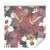 Tapeta – Kolibry