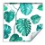 Tapeta Liście Monstera Natura