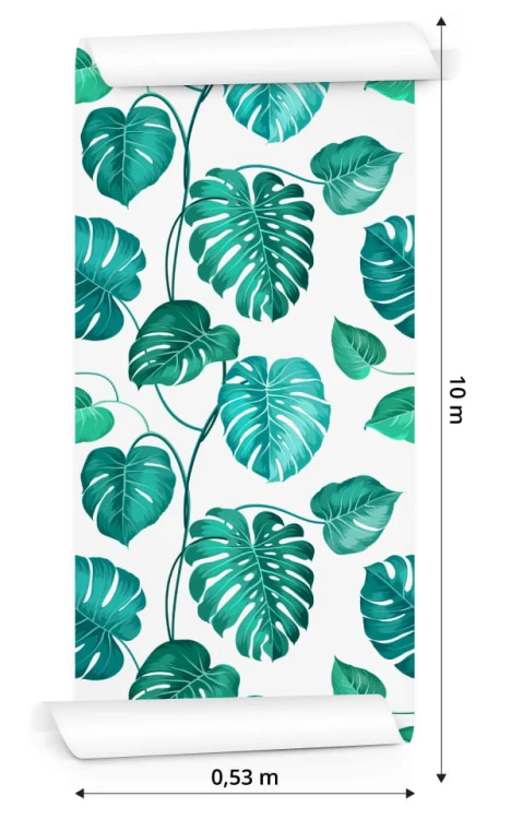 Tapeta Liście Monstera Natura