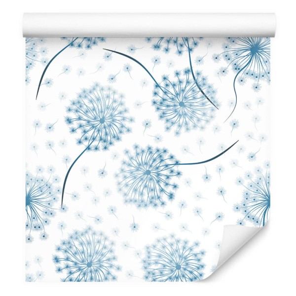 Tapeta Kwiaty Dmuchawca Z Nasionami