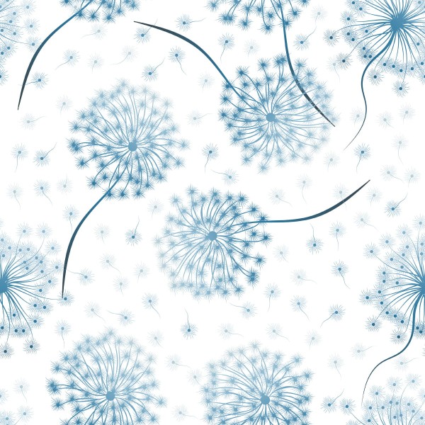 Tapeta Kwiaty Dmuchawca Z Nasionami