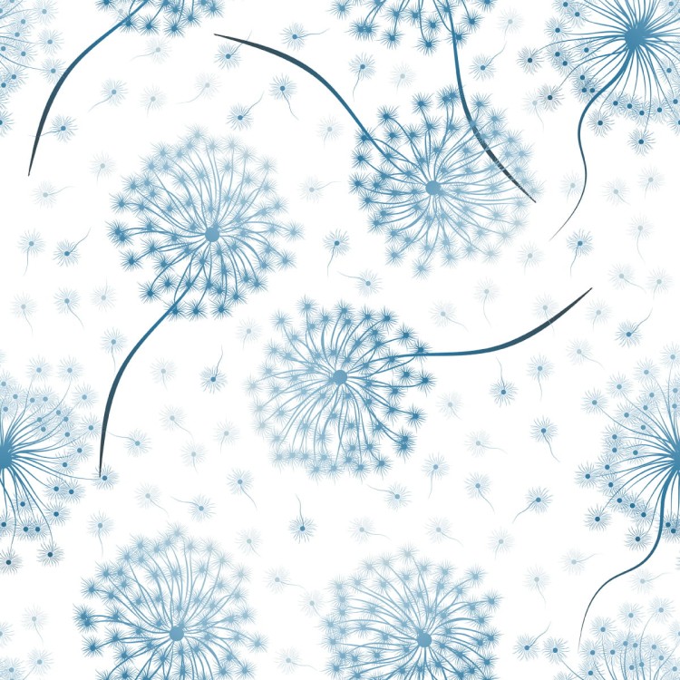 Tapeta Kwiaty Dmuchawca Z Nasionami