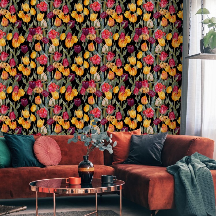 Tapeta Kolorowe Tulipany
