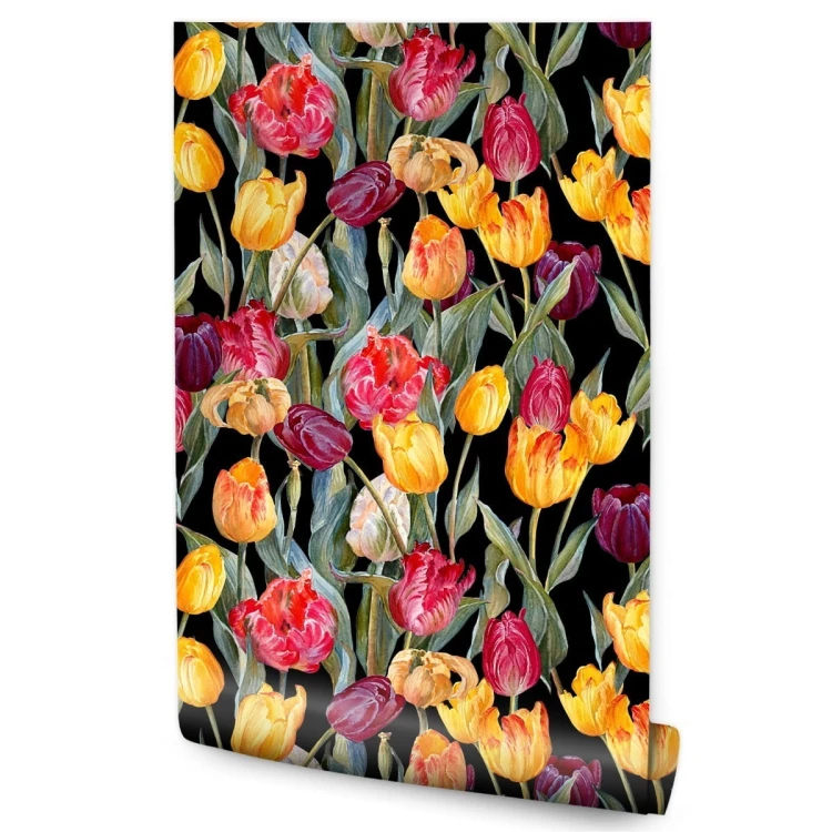 Tapeta Kolorowe Tulipany