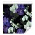 Tapeta Do Salonu Orchidea Storczyk Przyroda Kwiaty