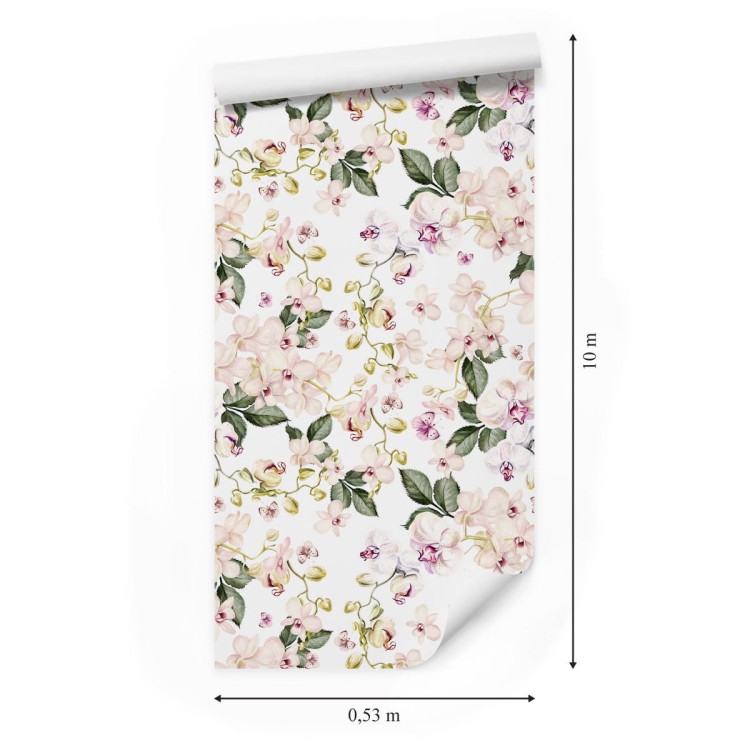 Tapeta Orchidea Storczyk Kwiaty Natura Do Salonu