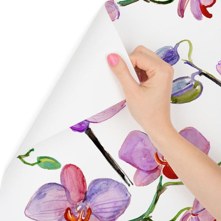 Tapeta Do Salonu Orchidee Storczyki Kwiaty Rośliny
