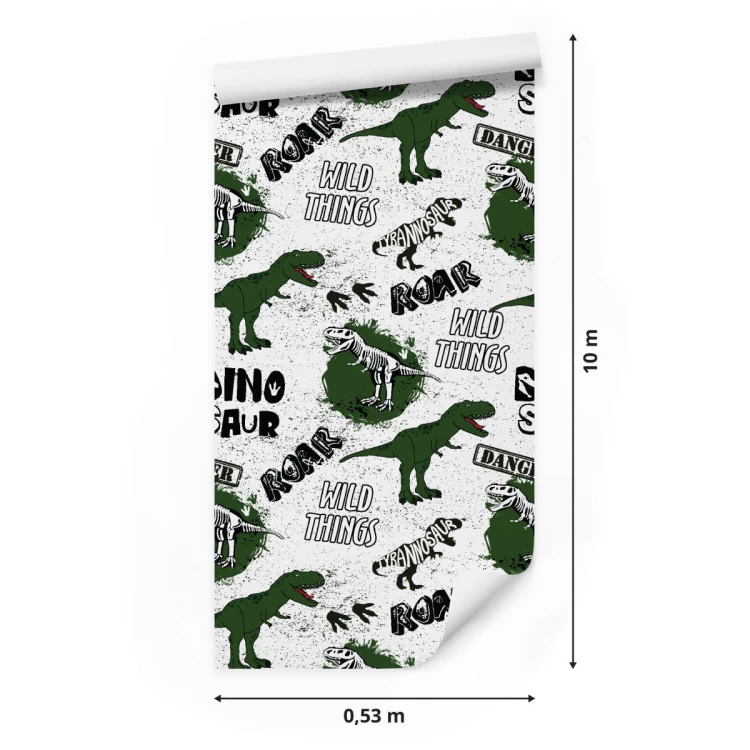 Tapeta Do Pokoju Młodzieżowego, Dinozaury