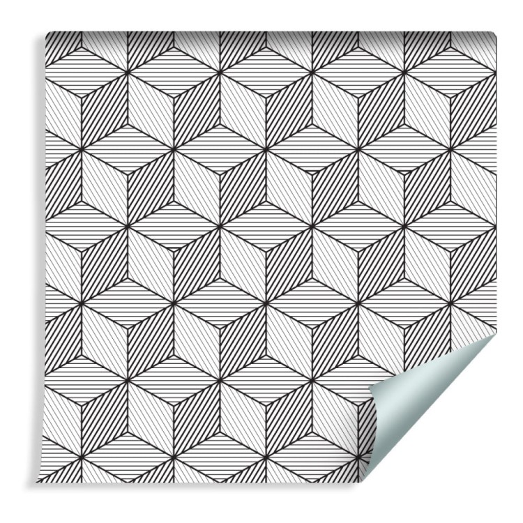 Tapeta Geometryczna-Czarno-Białe Sześciany