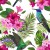 Tapeta Tropikalna - Kolorowe Kolibry, Liście I Kwiaty