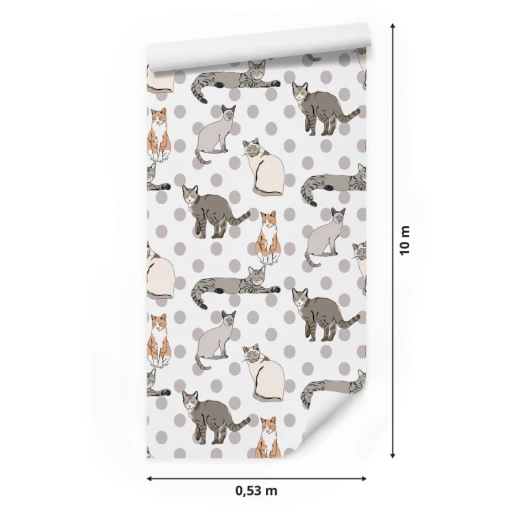 Tapeta Koty Na Tle Kropek
