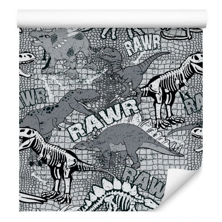 Tapeta Ścienna, Dinozaury, Do Pokoju Młodzieżowego