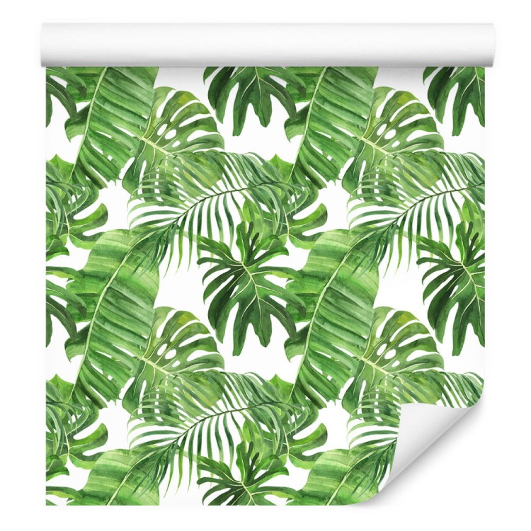 Tapeta Zielone Liście