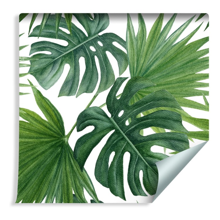 Tapeta Zielone Liście