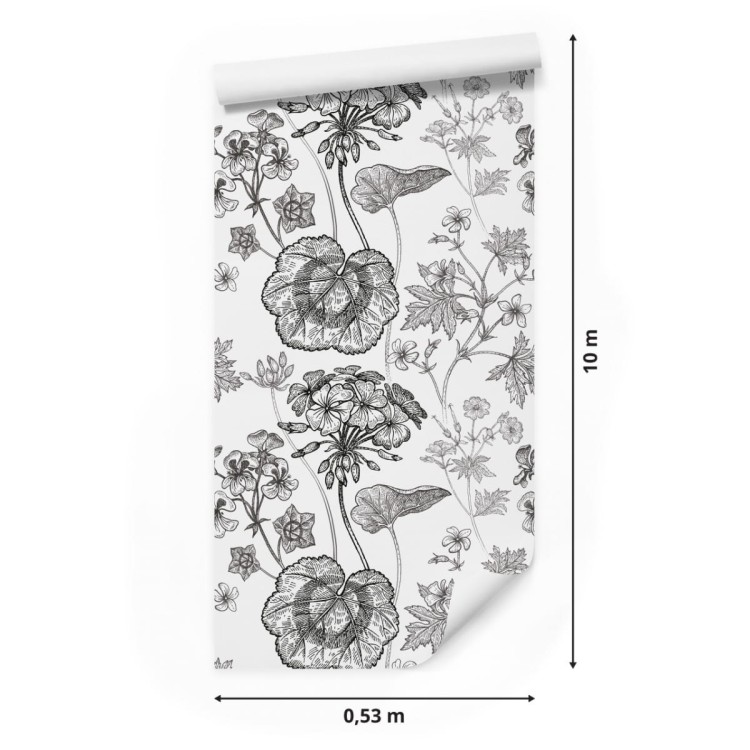 Tapeta Czarno-Białe Pelargonie