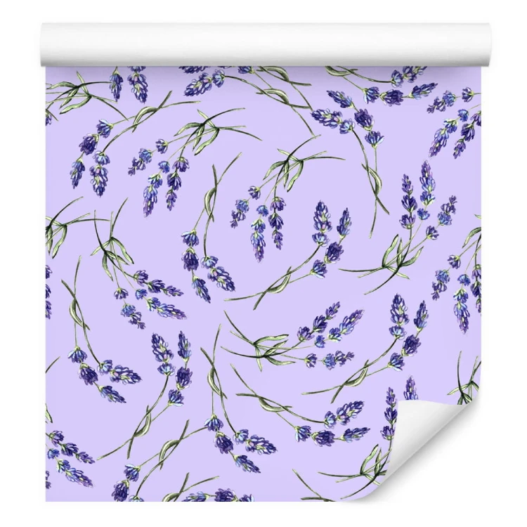 Tapeta Natura Lawendy