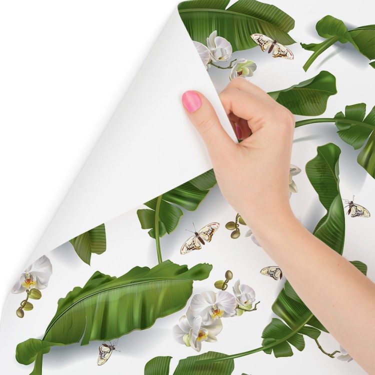 Tapeta Do Salonu Kwiaty Storczyki Natura
