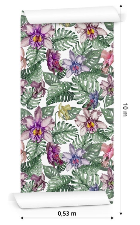 Tapeta Kolorowe Kwiaty Orchidei I Liście Monstery