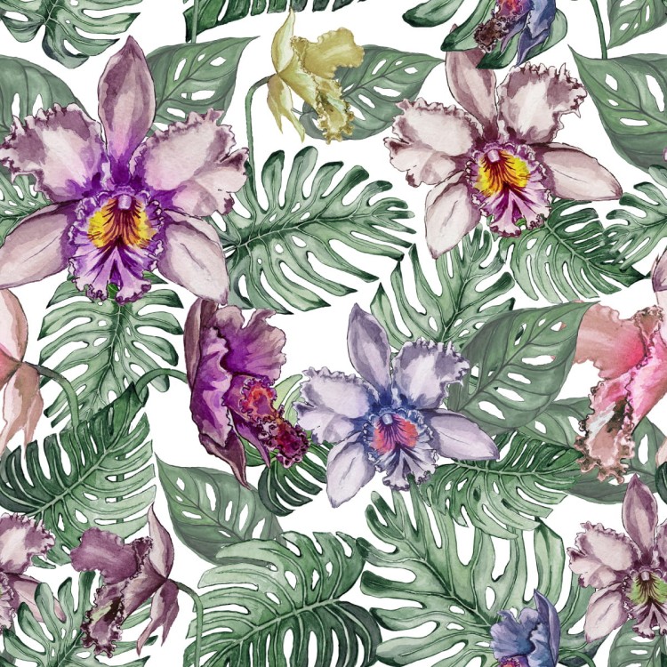 Tapeta Kolorowe Kwiaty Orchidei I Liście Monstery