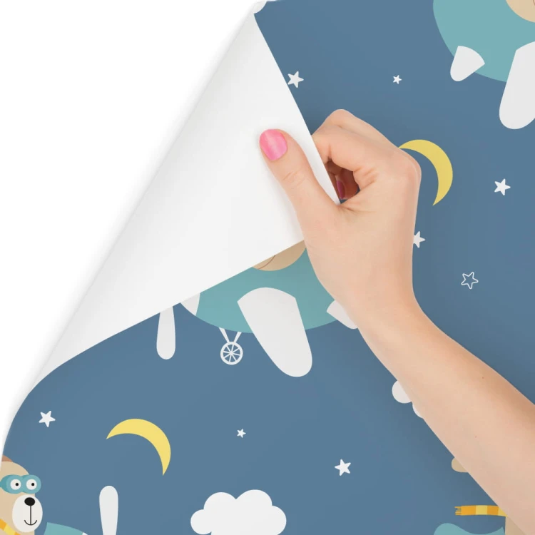 Tapeta Króliki W Samolotach