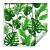Tapeta Liście Monstera I Palmy