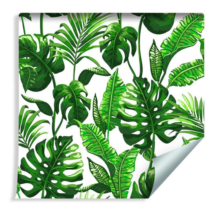Tapeta Liście Monstera I Palmy