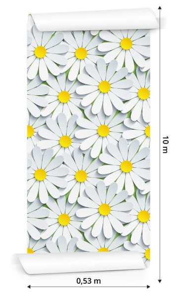 Tapeta Kwiaty - Rumianek 3D