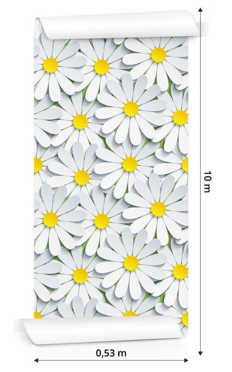 Tapeta Kwiaty - Rumianek 3D