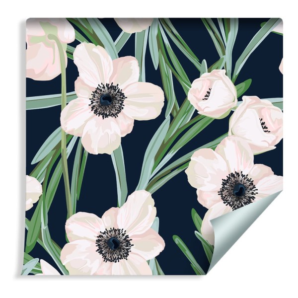 Tapeta Kwiaty - Zawilec Na Ciemnym Tle