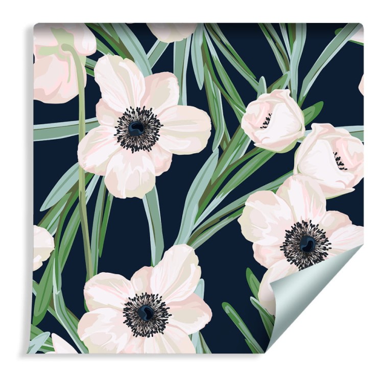 Tapeta Kwiaty - Zawilec Na Ciemnym Tle