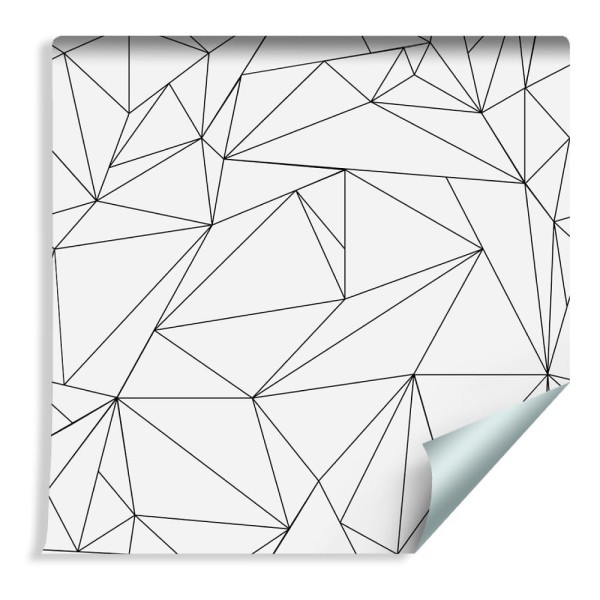 Tapeta Czarno-Biały Wzór Geometryczny