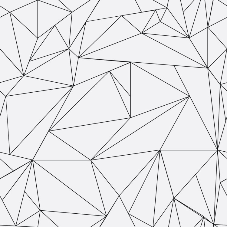 Tapeta Czarno-Biały Wzór Geometryczny