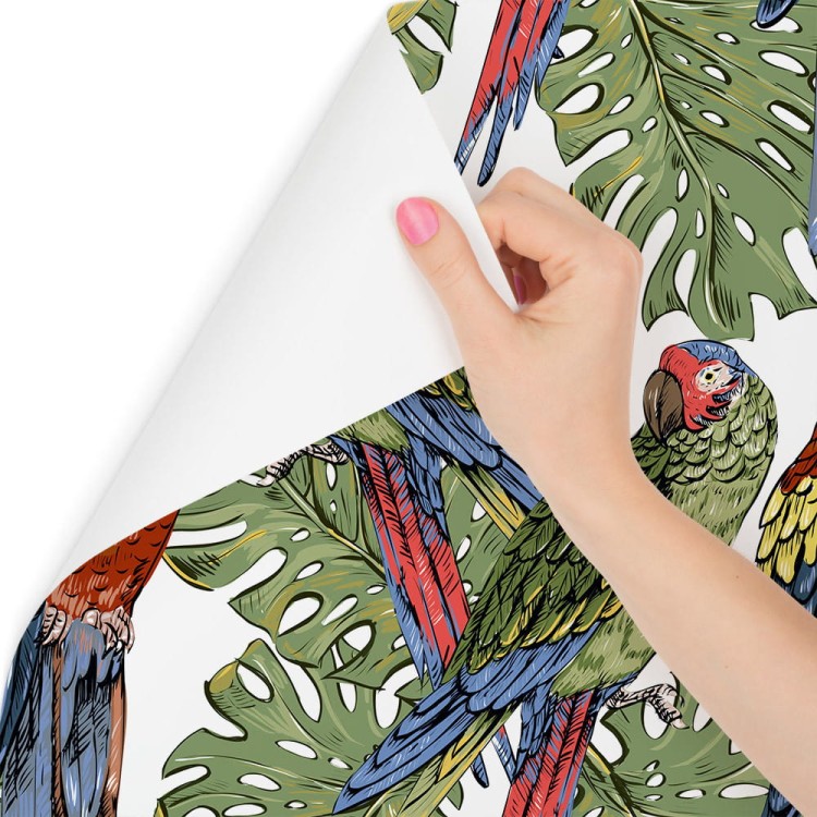 Tapeta – Kolorowe Papugi