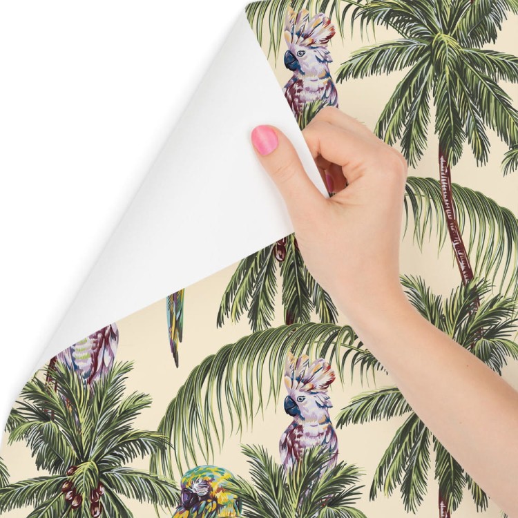 Tapeta – Kolorowe Papugi