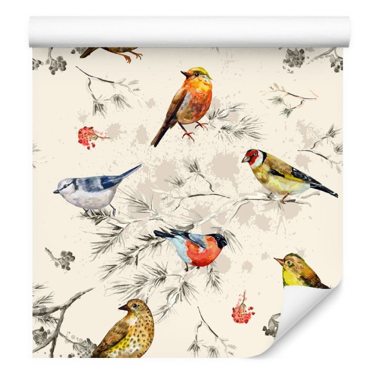 Tapeta – Kolorowe Ptaki