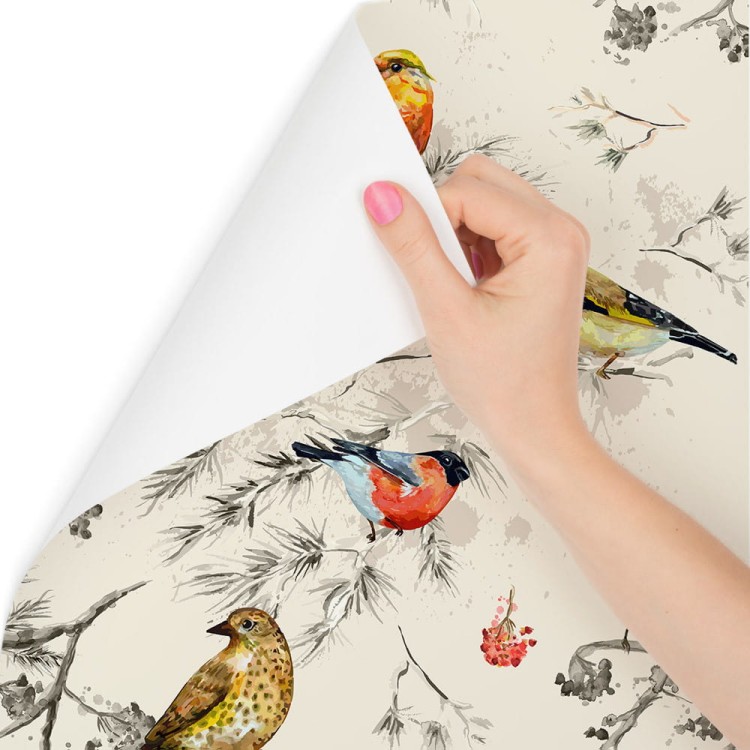 Tapeta – Kolorowe Ptaki