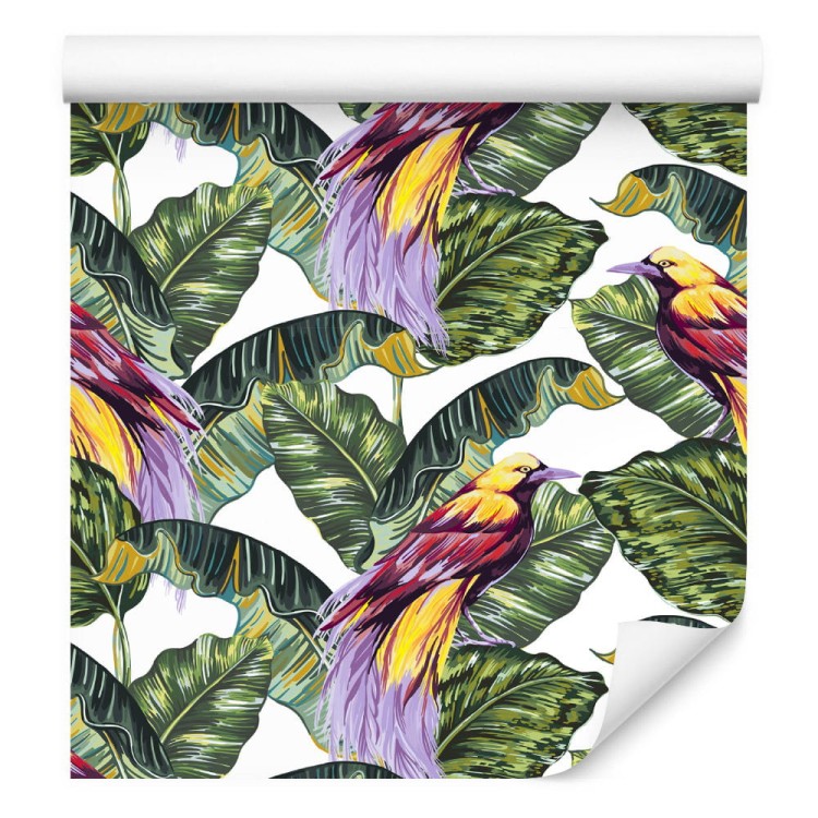 Tapeta – Kolorowe Ptaki