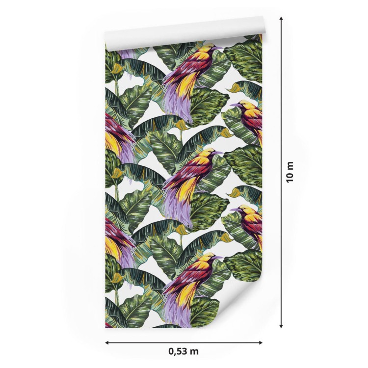 Tapeta – Kolorowe Ptaki